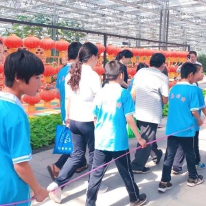 美食娱乐嘉年华宣传语：如何用一句话引爆客流，让活动火爆出圈