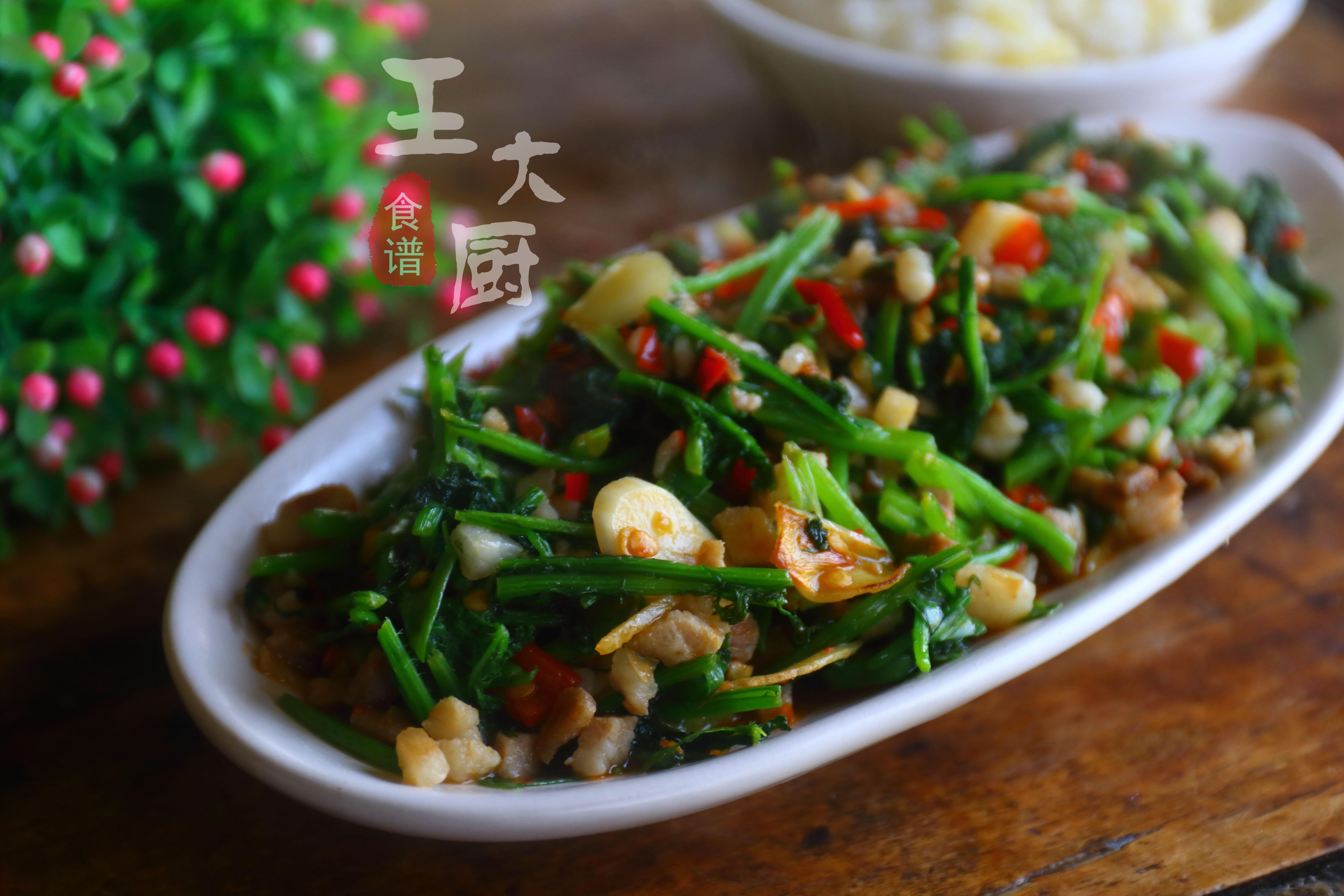 美食娱乐节目有哪些？带你探索最下饭的视觉盛宴，轻松找到你的专属味觉指南