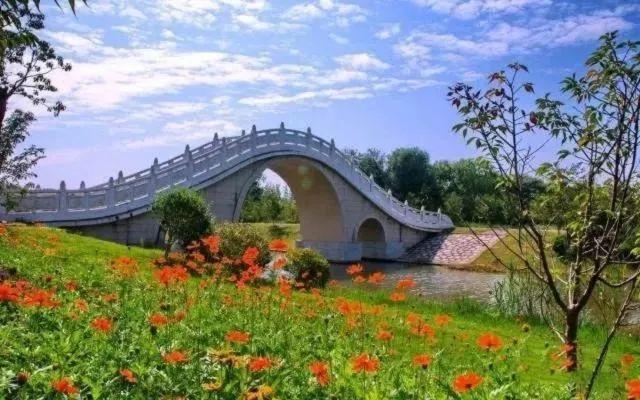 美食娱乐嘉年华图片拍摄全攻略：轻松捕捉欢乐瞬间与诱人美食